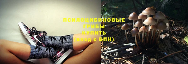 дживик Дмитровск