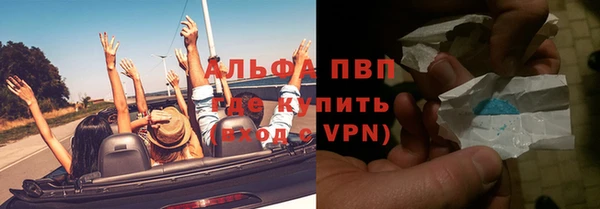 стафф Ельня