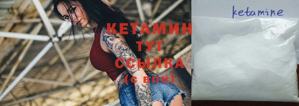 сатива Иннополис