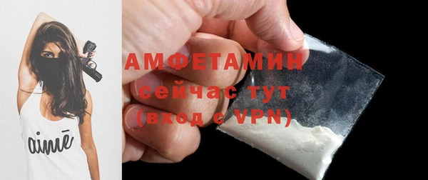 сатива Иннополис
