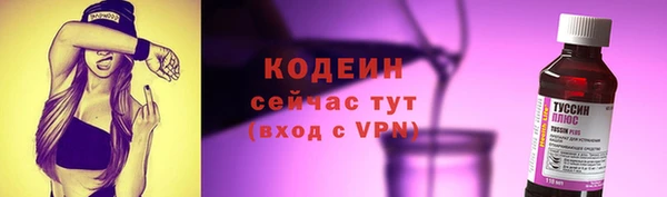 PSILOCYBIN Дмитриев