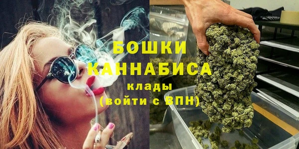 PSILOCYBIN Дмитриев