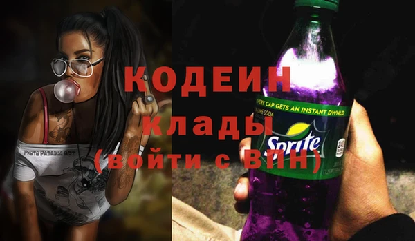 сатива Иннополис