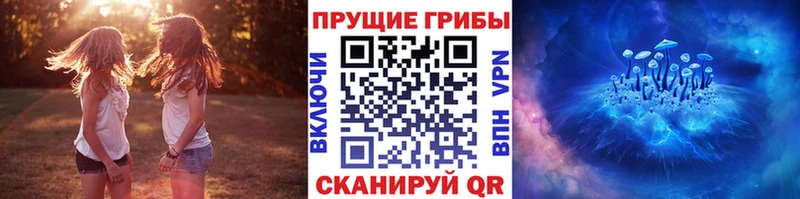 Галлюциногенные грибы ЛСД  Купить закладки  Новая Ляля 